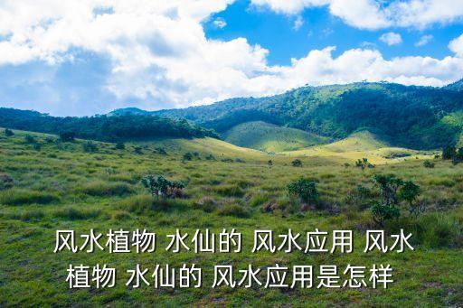 水仙風水,水仙放在西北地區為牛年帶來財富