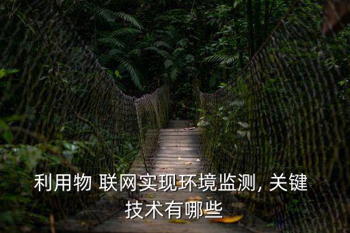 利用物 聯網實現環境監測, 關鍵 技術有哪些