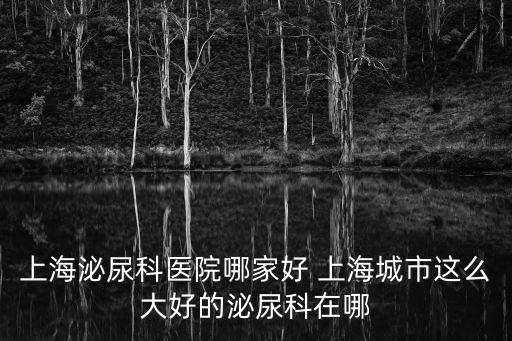 上海泌尿科醫院哪家好 上海城市這么大好的泌尿科在哪