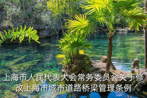 上海市人民代表大會常務(wù)委員會關(guān)于修改上海市城市道路橋梁管理條例