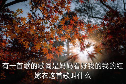 有一首歌的歌詞是媽媽看好我的我的紅嫁衣這首歌叫什么