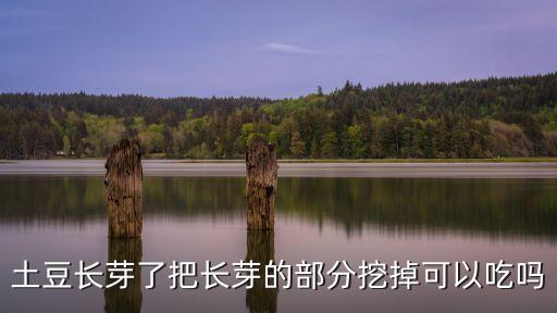 土豆長芽了把長芽的部分挖掉可以吃嗎
