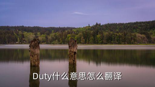 duty，duty是什么意思