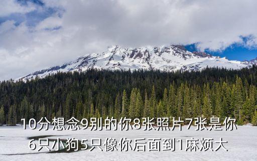 10分想念9別的你8張照片7張是你6只小狗5只像你后面到1麻煩大