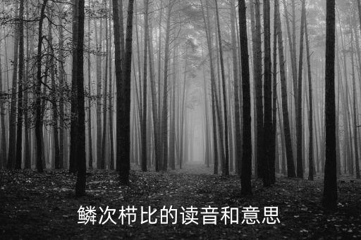 鱗次櫛比的讀音和意思