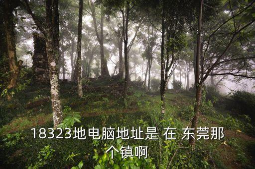 18323地電腦地址是 在 東莞那個鎮(zhèn)啊