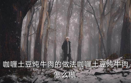 咖喱土豆燉牛肉的做法咖喱土豆燉牛肉怎么做
