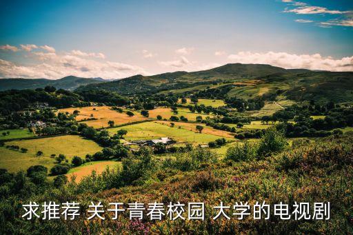 求推薦 關(guān)于青春校園 大學(xué)的電視劇