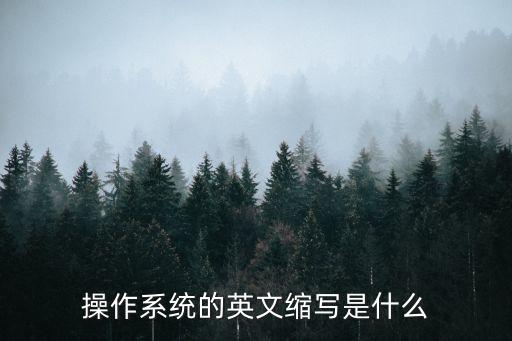 操作系統的英文縮寫是什么