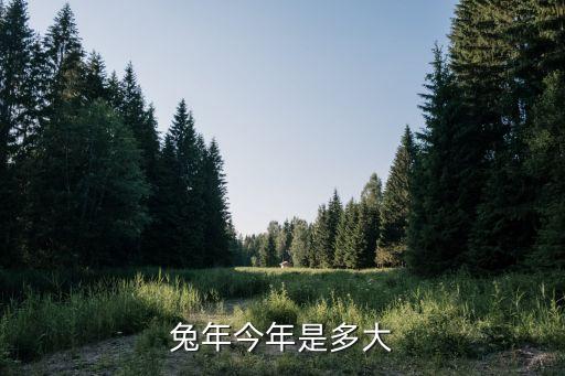 兔年今年是多大