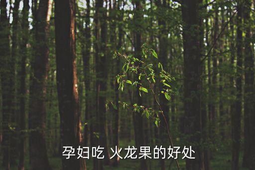 孕婦可以吃火龍果,孕婦可吃火龍水果嗎?