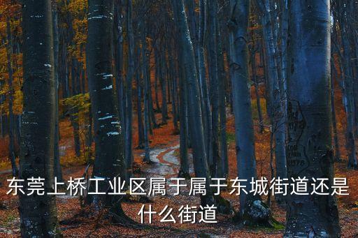 東莞上橋工業(yè)區(qū)屬于屬于東城街道還是什么街道