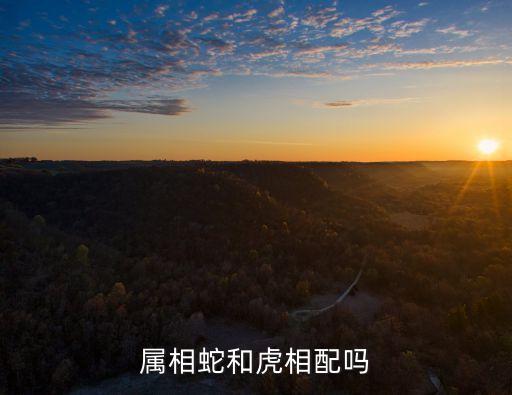 屬相蛇和虎相配嗎