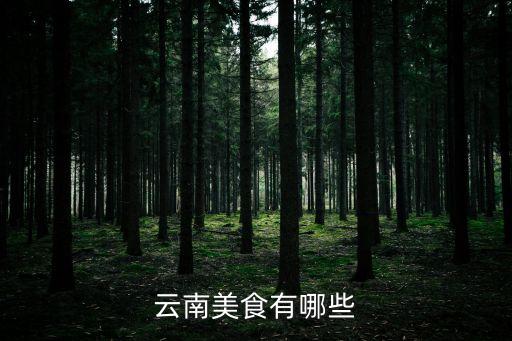 云南美食有哪些
