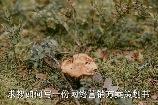 求教如何寫一份網絡營銷方案策劃書