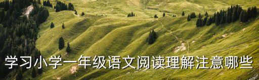 一年級閱讀理解，小學一年級的閱讀理解