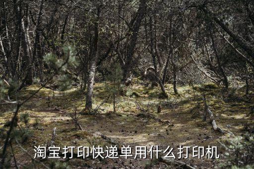 快遞單打印機，大家都是用什么快遞單打印機呢求推薦一款