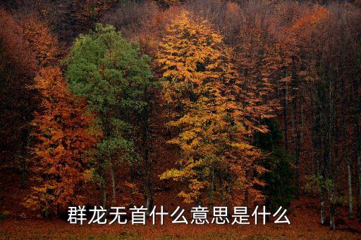 群龍無首什么意思是什么