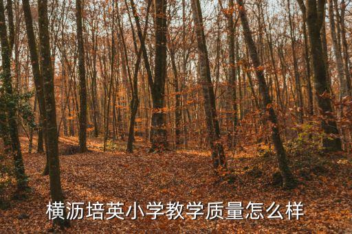 東莞培英學(xué)校怎么樣，培英這個學(xué)校好嗎