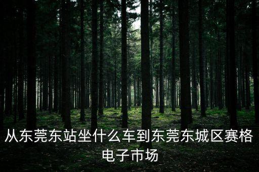 東莞東城賽格大火，火炬沒經過深圳塞格