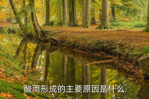 酸雨形成的原因，酸雨形成的原因是什么