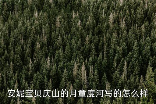 安妮寶貝慶山的月童度河寫的怎么樣