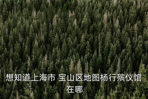 想知道上海市 寶山區(qū)地圖楊行殯儀館 在哪
