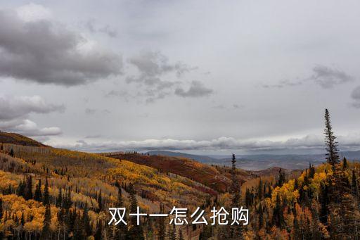 雙十一怎么搶購