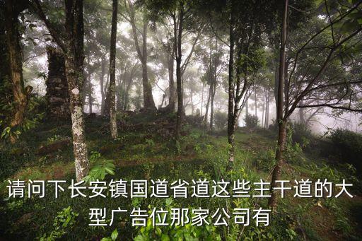 請問下長安鎮國道省道這些主干道的大型廣告位那家公司有