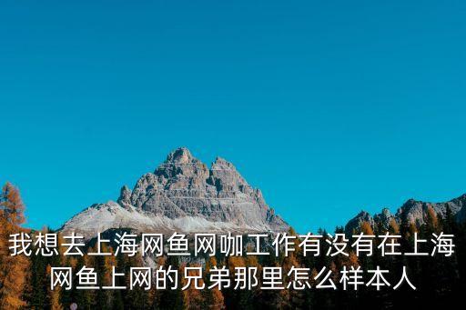 上海市的網咖工作，上海網吧工作怎么樣