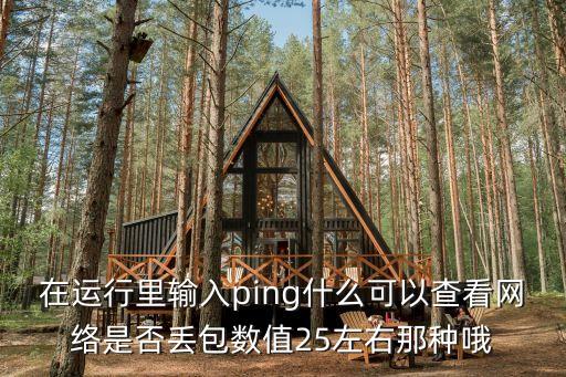 網絡丟包測試，測試網絡質量丟包率20