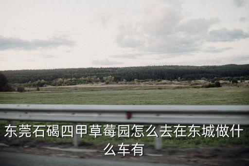 東莞農莊向日葵，東莞石碣四甲草莓園怎么去在東城做什么車有