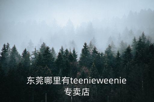 東莞愛麗歐女裝，東莞哪里有Elec Ion專柜