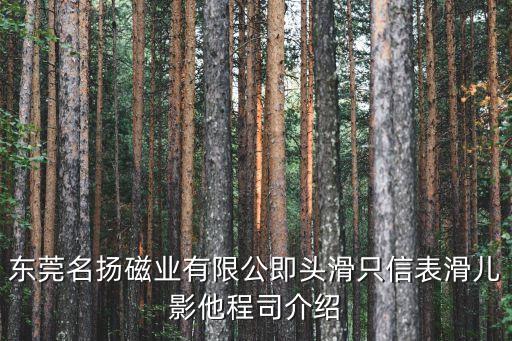 東莞釹鐵硼磁業(yè)黃頁(yè)，最近需要在東莞購(gòu)買(mǎi)一批圓形釹鐵硼磁鐵求介紹