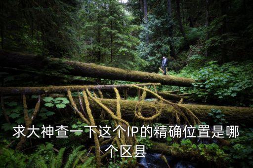 求大神查一下這個IP的精確位置是哪個區縣