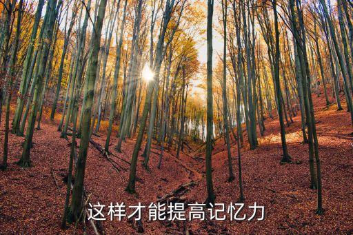 如何提高記憶力，怎樣提供高記憶力