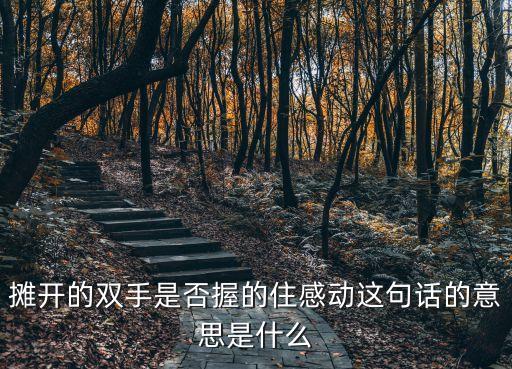 攤開雙手，攤開的雙手是否握的住感動這句話的意思是什么