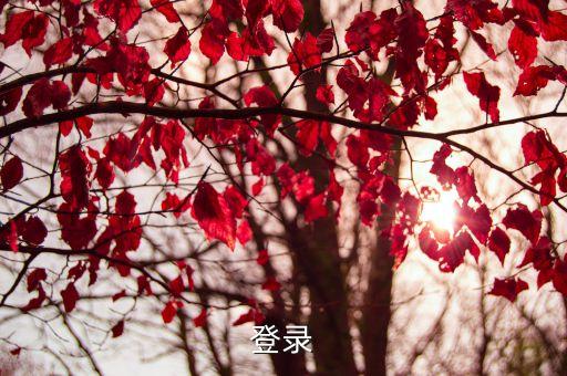 上海市洛川學校用戶登陸，地鐵怎么去上海洛川學校