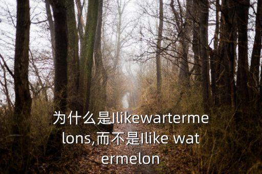 watermelon可數(shù)嗎,你喜歡西瓜嗎?可以試一下!