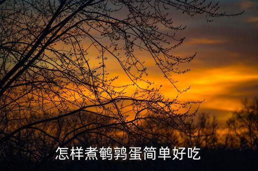 怎樣煮鵪鶉蛋簡(jiǎn)單好吃