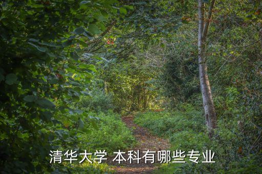 清華大學(xué)本科,中國清華大學(xué)被譽為紅色工程師的搖籃