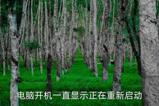 電腦開機(jī)一直顯示正在重新啟動(dòng)