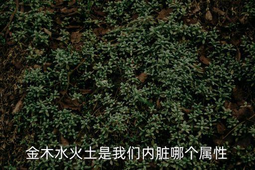 金木水火土是我們內(nèi)臟哪個(gè)屬性