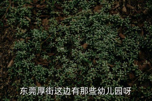 東莞上角附近的幼兒園，廣州東莞石碣臺達電子附近幼兒園