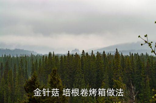 培根金針菇卷,燒烤-1金針菇卷第五步烤好吃的