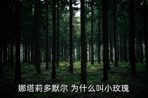 娜塔莉多默爾 為什么叫小玫瑰