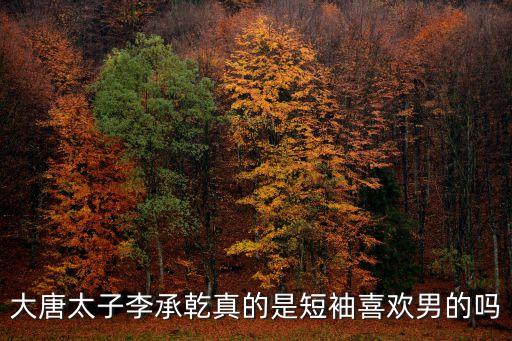 大唐李承乾，誰知道李世民的太子李承乾的詳細(xì)情況