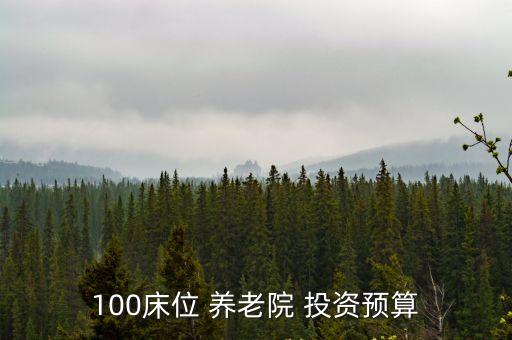 100床位 養(yǎng)老院 投資預(yù)算