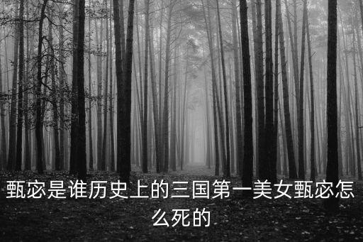 甄宓是誰(shuí)歷史上的三國(guó)第一美女甄宓怎么死的