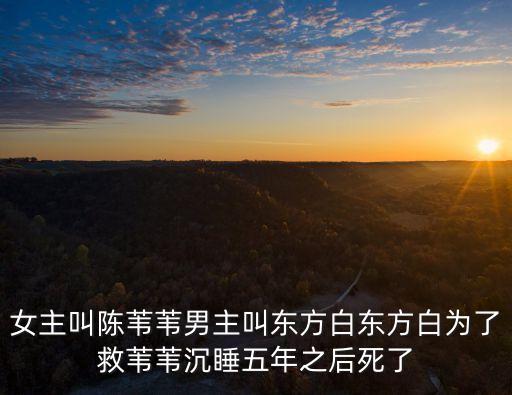 女主叫陳葦葦男主叫東方白東方白為了救葦葦沉睡五年之后死了